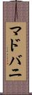 マドバニ Scroll