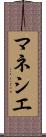 マネシエ Scroll