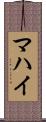 マハイ Scroll