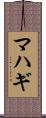 マハギ Scroll