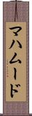 マハムード Scroll