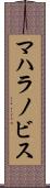 マハラノビス Scroll