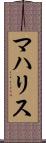 マハリス Scroll