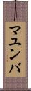マユンバ Scroll