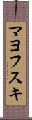 マヨフスキ Scroll