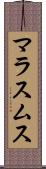 マラスムス Scroll