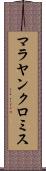 マラヤンクロミス Scroll
