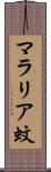 マラリア蚊 Scroll