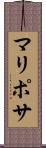 マリポサ Scroll