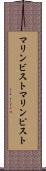 マリンビスト Scroll