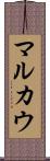 マルカウ Scroll