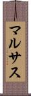 マルサス Scroll