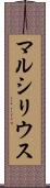 マルシリウス Scroll