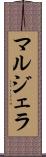 マルジェラ Scroll
