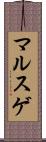 マルスゲ Scroll