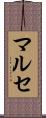 マルセ Scroll