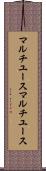 マルチユース Scroll