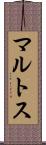マルトス Scroll