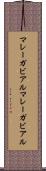 マレーガビアル Scroll