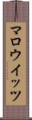 マロウイッツ Scroll