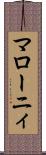 マローニィ Scroll