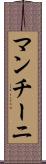 マンチーニ Scroll