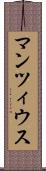 マンツィウス Scroll