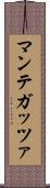 マンテガッツァ Scroll
