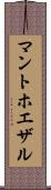 マントホエザル Scroll