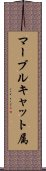 マーブルキャット属 Scroll