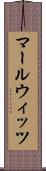 マールウィッツ Scroll