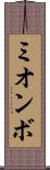 ミオンボ Scroll