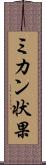 ミカン状果 Scroll
