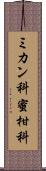 ミカン科 Scroll
