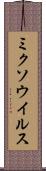 ミクソウイルス Scroll