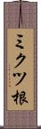 ミクツ根 Scroll
