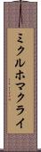 ミクルホマクライ Scroll