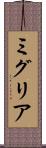 ミグリア Scroll