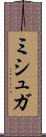ミシュガ Scroll