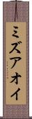 ミズアオイ Scroll