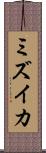 ミズイカ Scroll