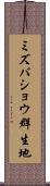 ミズバショウ群生地 Scroll