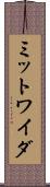 ミットワイダ Scroll