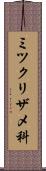 ミツクリザメ科 Scroll