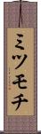 ミツモチ Scroll