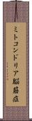 ミトコンドリア脳筋症 Scroll