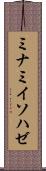 ミナミイソハゼ Scroll