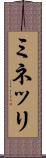ミネッリ Scroll
