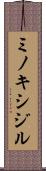 ミノキシジル Scroll