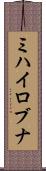 ミハイロブナ Scroll